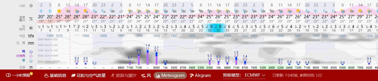 Windy Meteogram 截图
